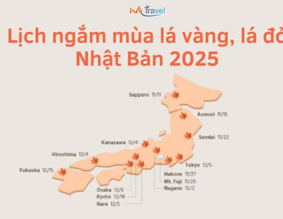 Lịch ngắm mùa lá vàng lá đỏ Nhật Bản 2025 – Khám phá mùa thu rực rỡ xứ Phù Tang