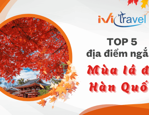 Mùa lá đỏ Hàn Quốc bắt đầu từ tháng mấy? Top 5 địa điểm ngắm lá đỏ lý tưởng
