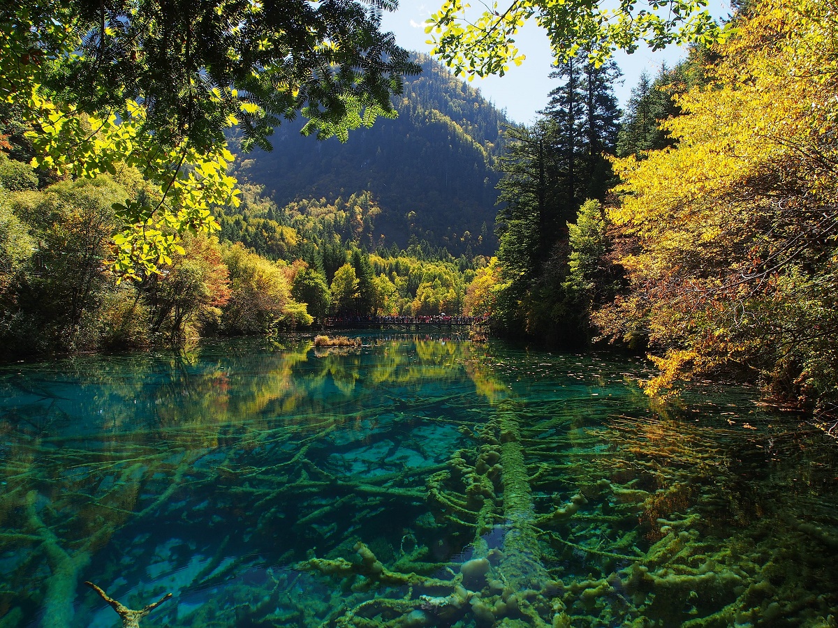 DU LỊCH TRUNG QUỐC: THÀNH ĐÔ – CỬU TRẠI CÂU – CÔNG VIÊN GẤU TRÚC – LẠC SƠN ĐẠI PHẬT