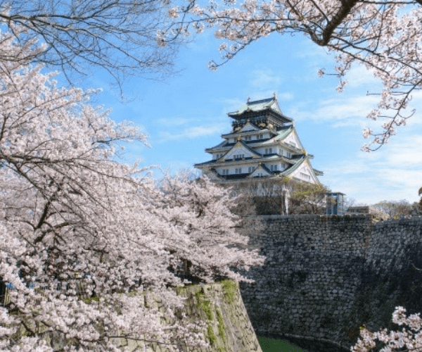 DU LỊCH NHẬT BẢN: NAGOYA - TOKYO - NARITA 2026 7