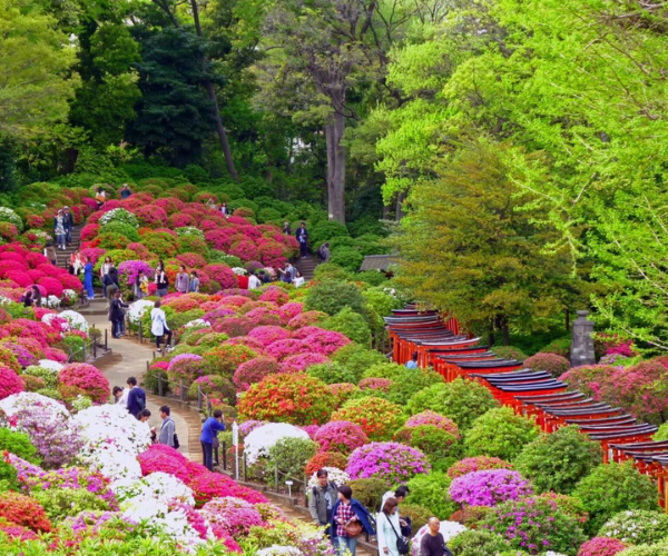 DU LỊCH NHẬT BẢN: NAGOYA - TOKYO - NARITA 2026 1
