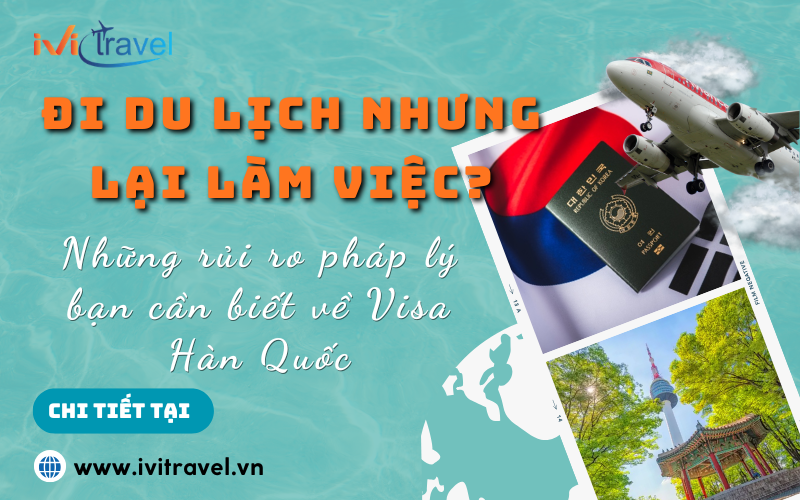 Đi du lịch nhưng lại làm việc? Những rủi ro pháp lý bạn cần biết về Visa Hàn Quốc