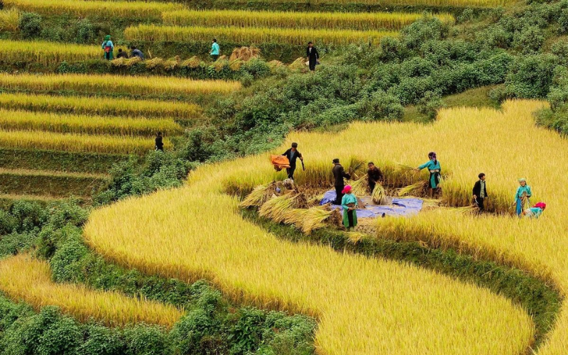 Sa Pa mùa thu